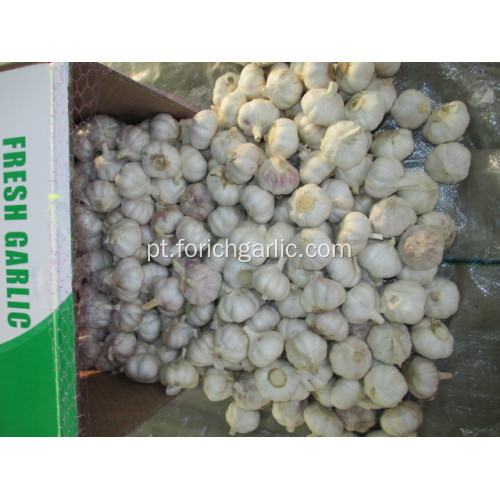 Crop 2020 Fresh Normal White Alho